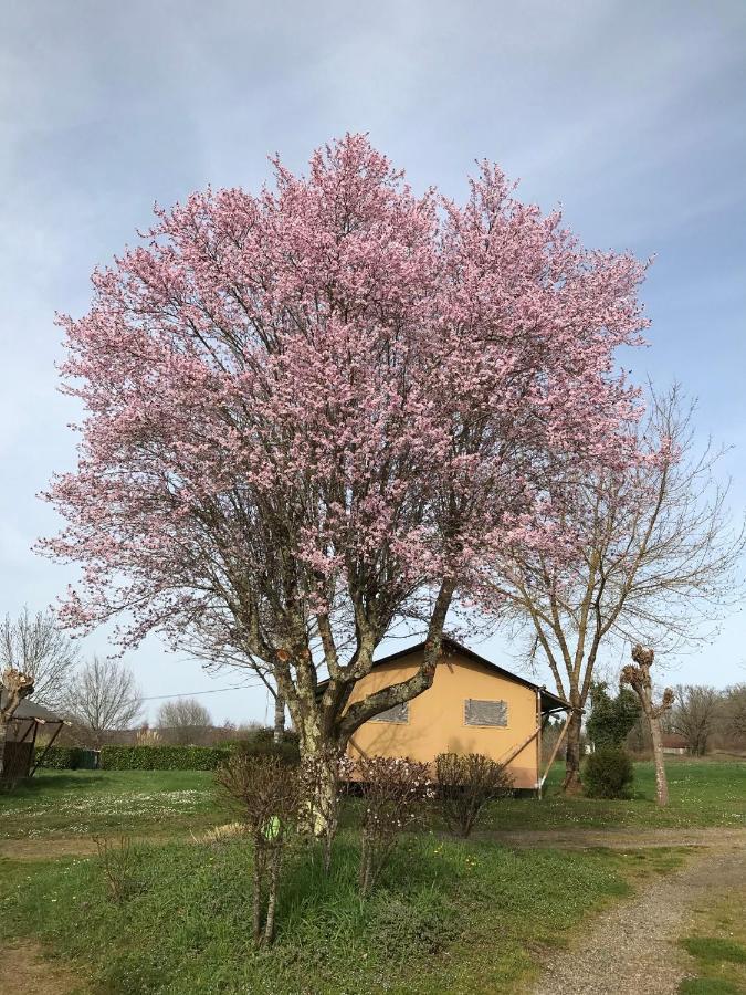 Le Mondou Saint-Julien-de-Lampon ภายนอก รูปภาพ